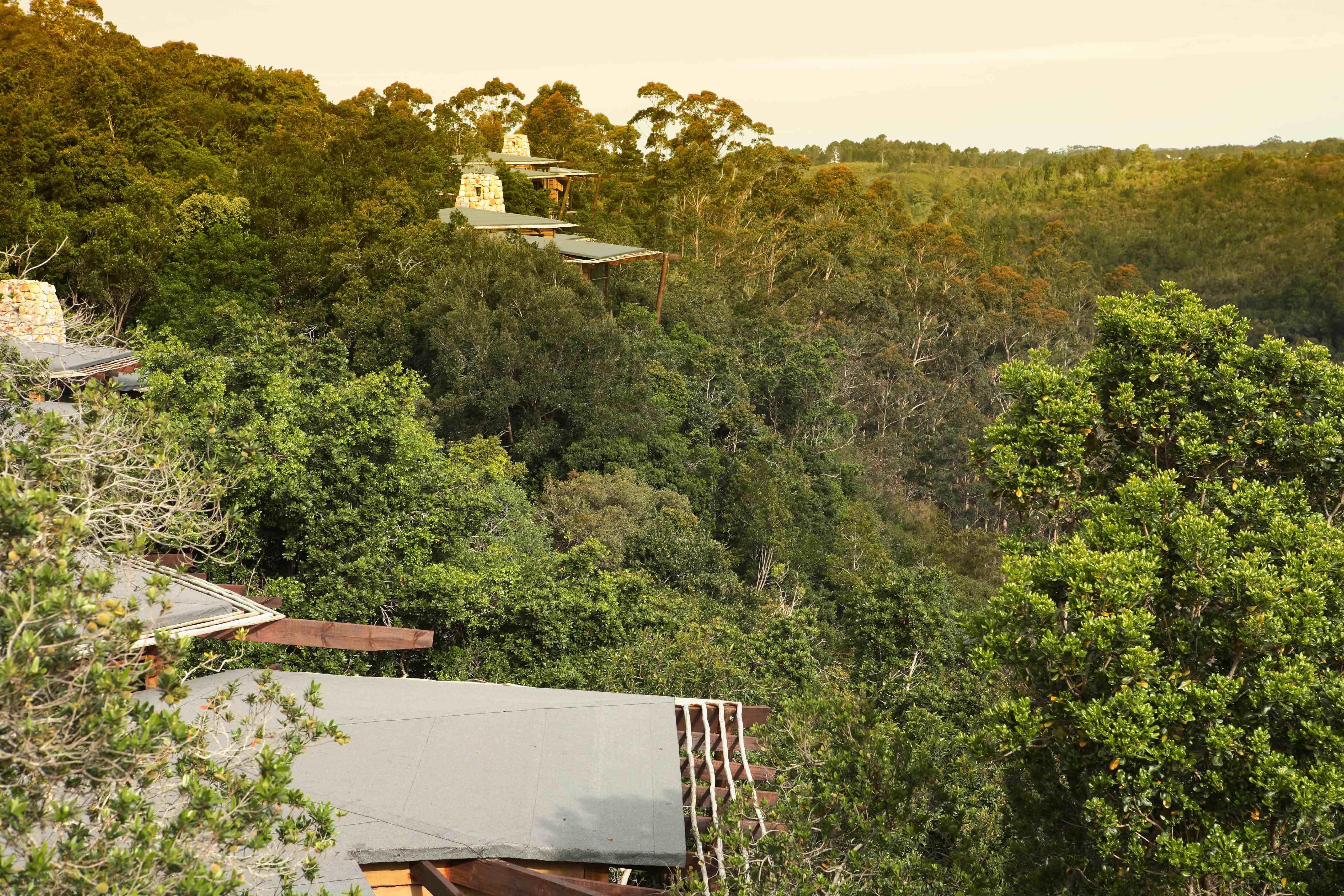Tsala Treetop Lodge Plettenberg Bay Exteriér fotografie