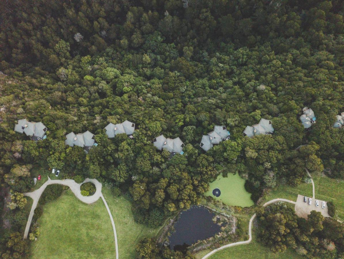 Tsala Treetop Lodge Plettenberg Bay Exteriér fotografie