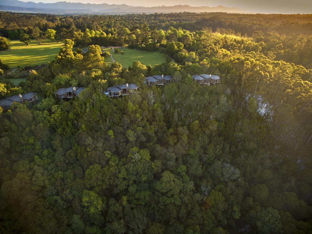 Tsala Treetop Lodge Plettenberg Bay Exteriér fotografie